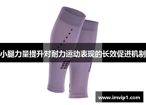 小腿力量提升对耐力运动表现的长效促进机制